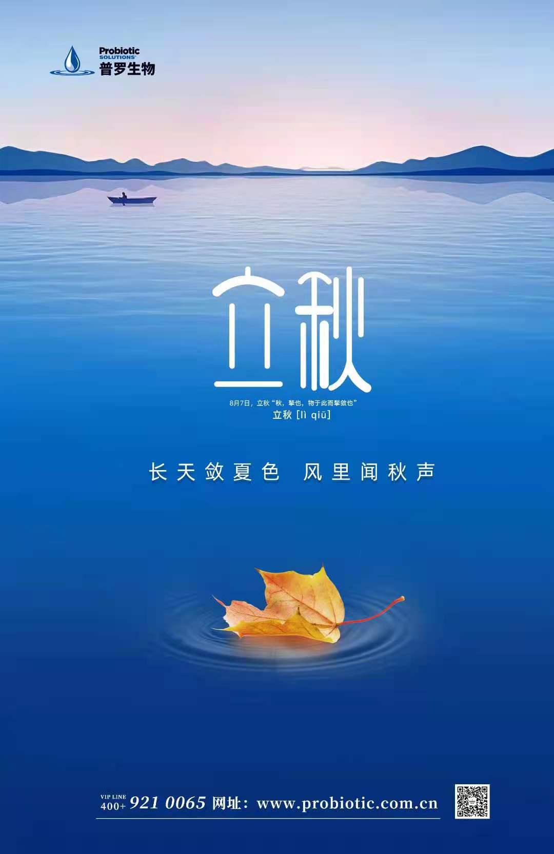 1628646531833439.jpg 立秋.jpg